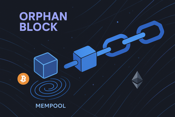 Orphan Blocks: The Blockchain Oddballs That Keep Crypto Secure